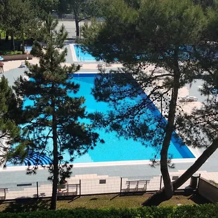 Vacation By The Pool-Beahost *